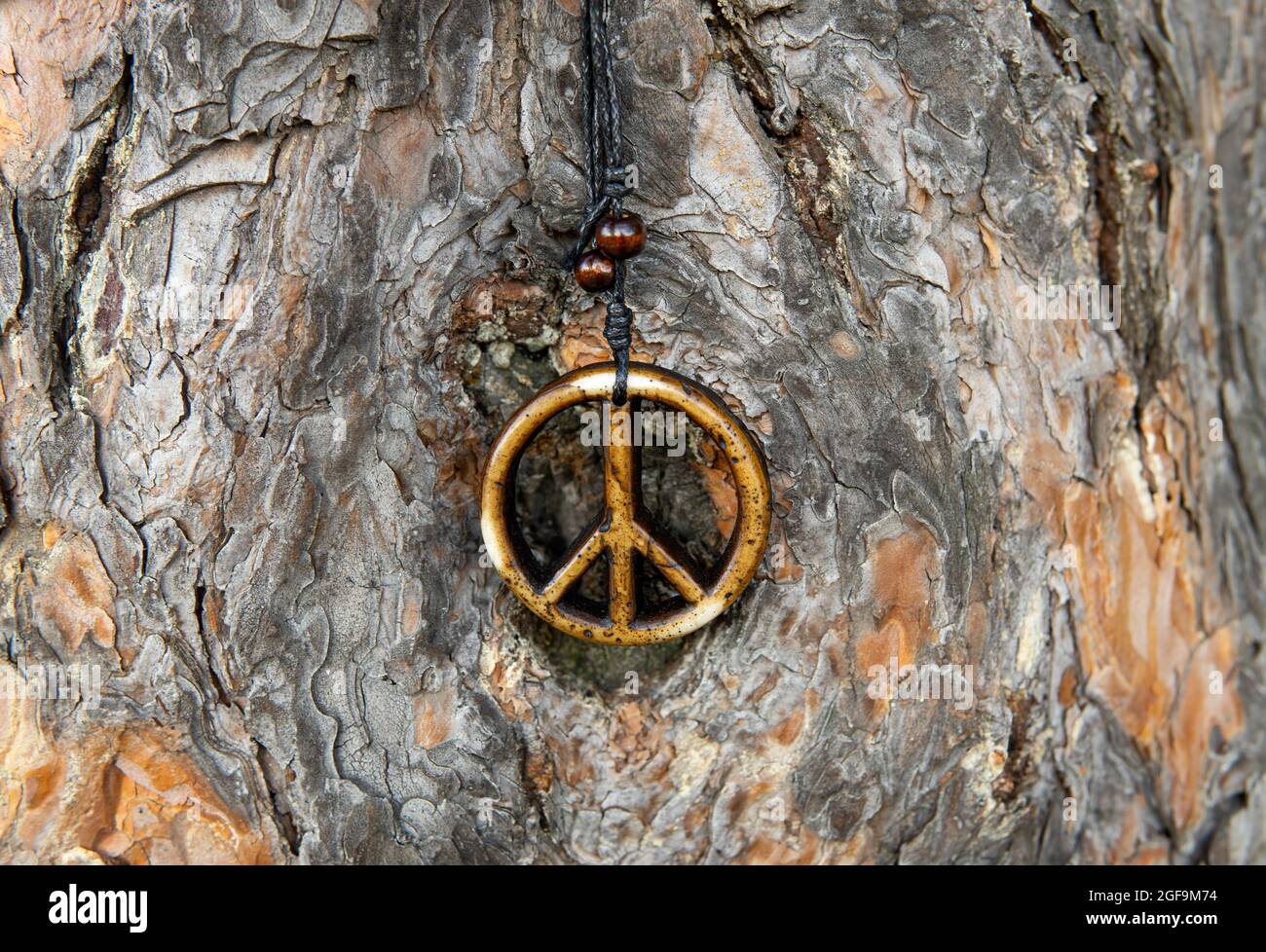 Gros plan d'un collier signe de paix contre un tronc d'arbre écorce, foyer sélectif Banque D'Images