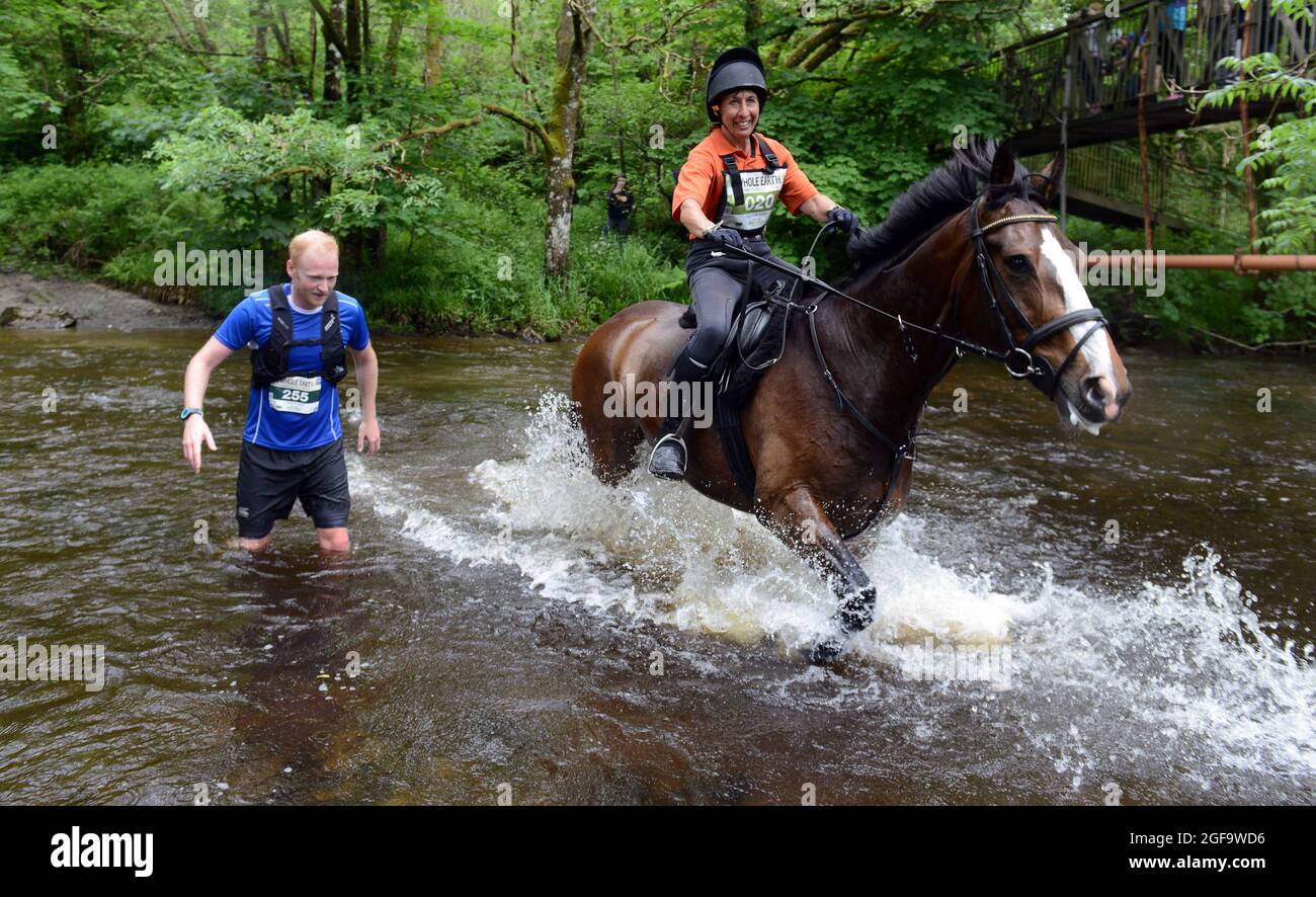 Whole Earth Man v Horse course d'endurance 2016 Llanwrtyd Wells, Powys. Les coureurs affrontent chevaux lors d'un événement de cross-country de 22 miles. Photo Sam Bagnall Banque D'Images