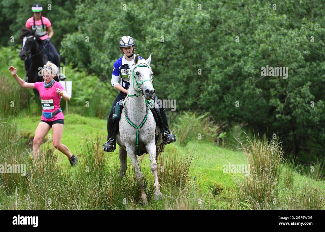 Whole Earth Man v Horse course d'endurance 2016 Llanwrtyd Wells, Powys. Les coureurs affrontent chevaux lors d'un événement de cross-country de 22 miles. Photo Sam Bagnall Banque D'Images