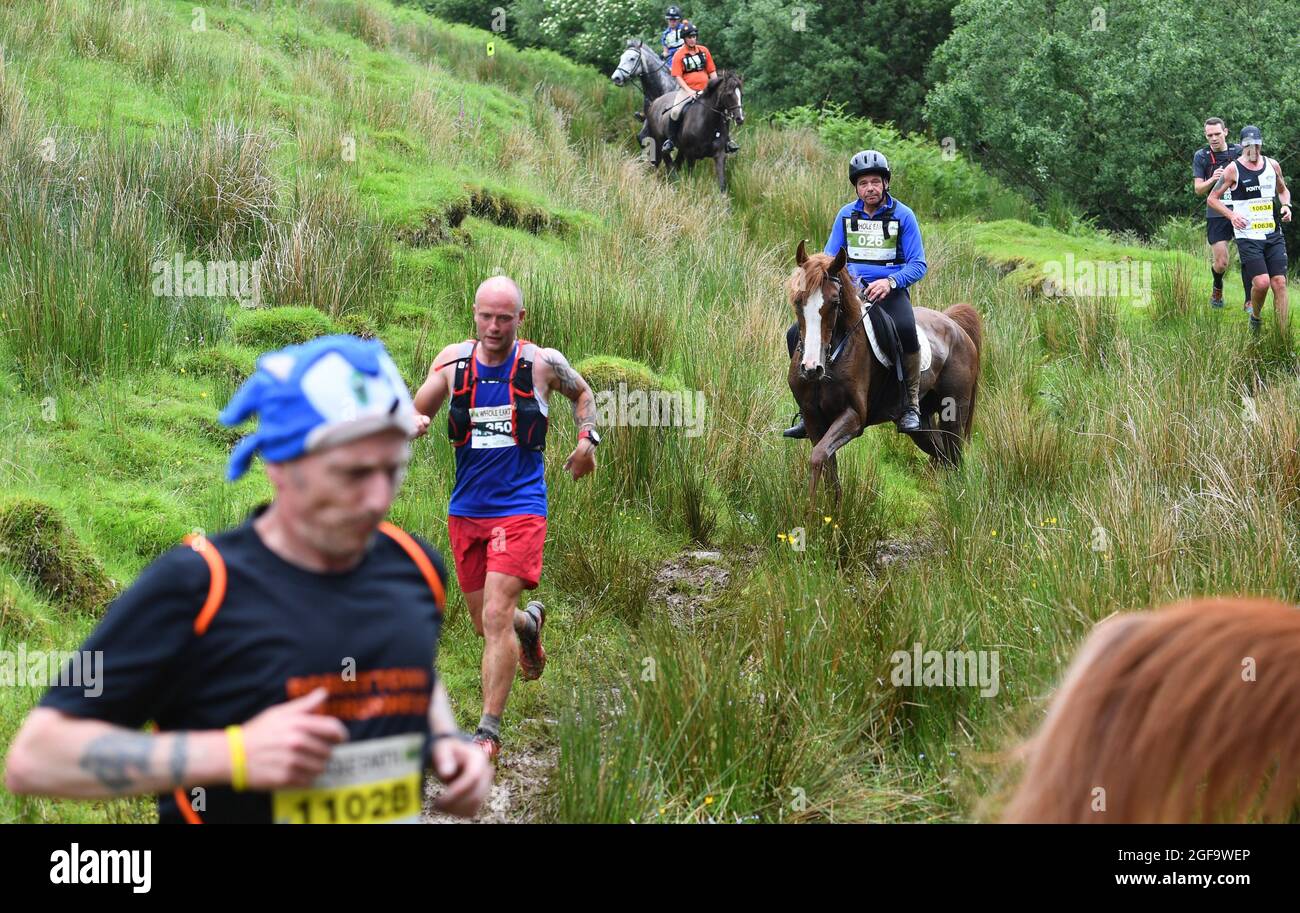 Whole Earth Man v Horse course d'endurance 2016 Llanwrtyd Wells, Powys. Les coureurs affrontent chevaux lors d'un événement de cross-country de 22 miles. Photo Sam Bagnall Banque D'Images