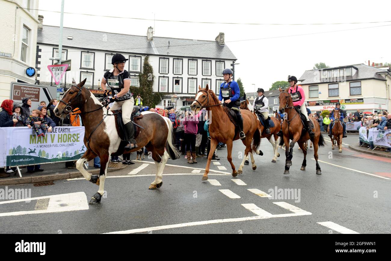 Whole Earth Man v Horse course d'endurance 2015, Llanwrtyd Wells, Powys. Les coureurs affrontent chevaux lors d'un événement de cross-country de 22 miles pic Sam Bagnall Banque D'Images