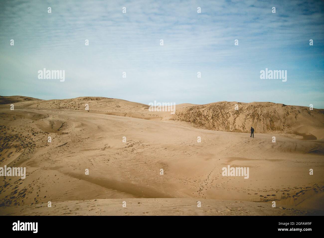 Homme seul marchant dans des dunes de sable. Pas d'autres personnes, pas d'eau, pas de plantes. Banque D'Images