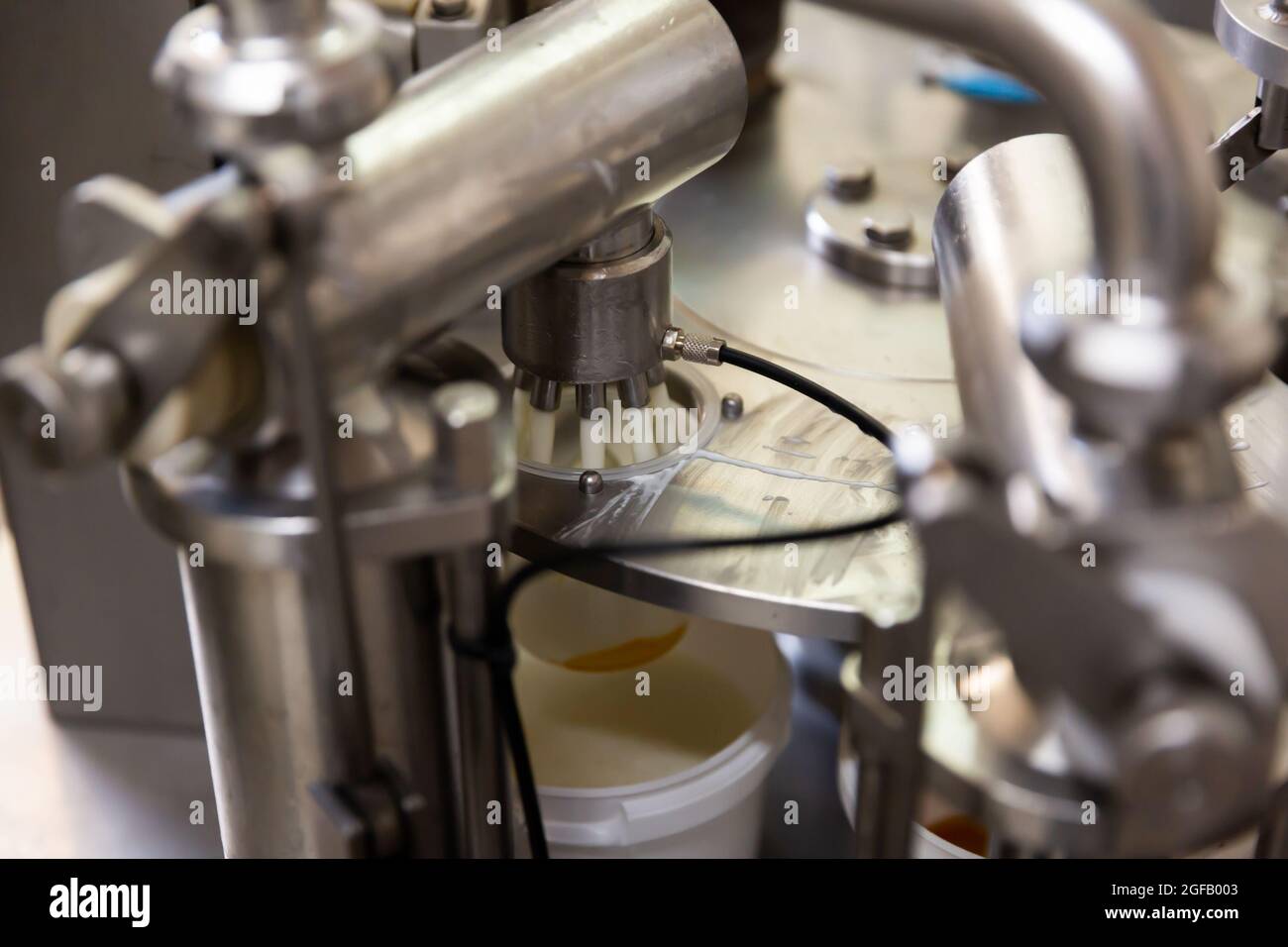 Gros plan de l'installation de traite sur une ferme laitière moderne Banque D'Images
