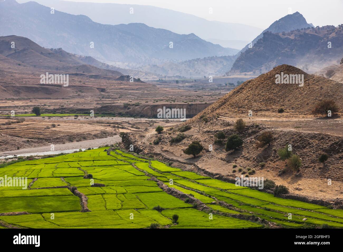 Rivière bordeaux et champ de riz dans les montagnes Zagros, route 63 près de Kalat, Kohgiluyeh et province de Boyer-Ahmad, Iran, Perse, Asie occidentale, Asie Banque D'Images