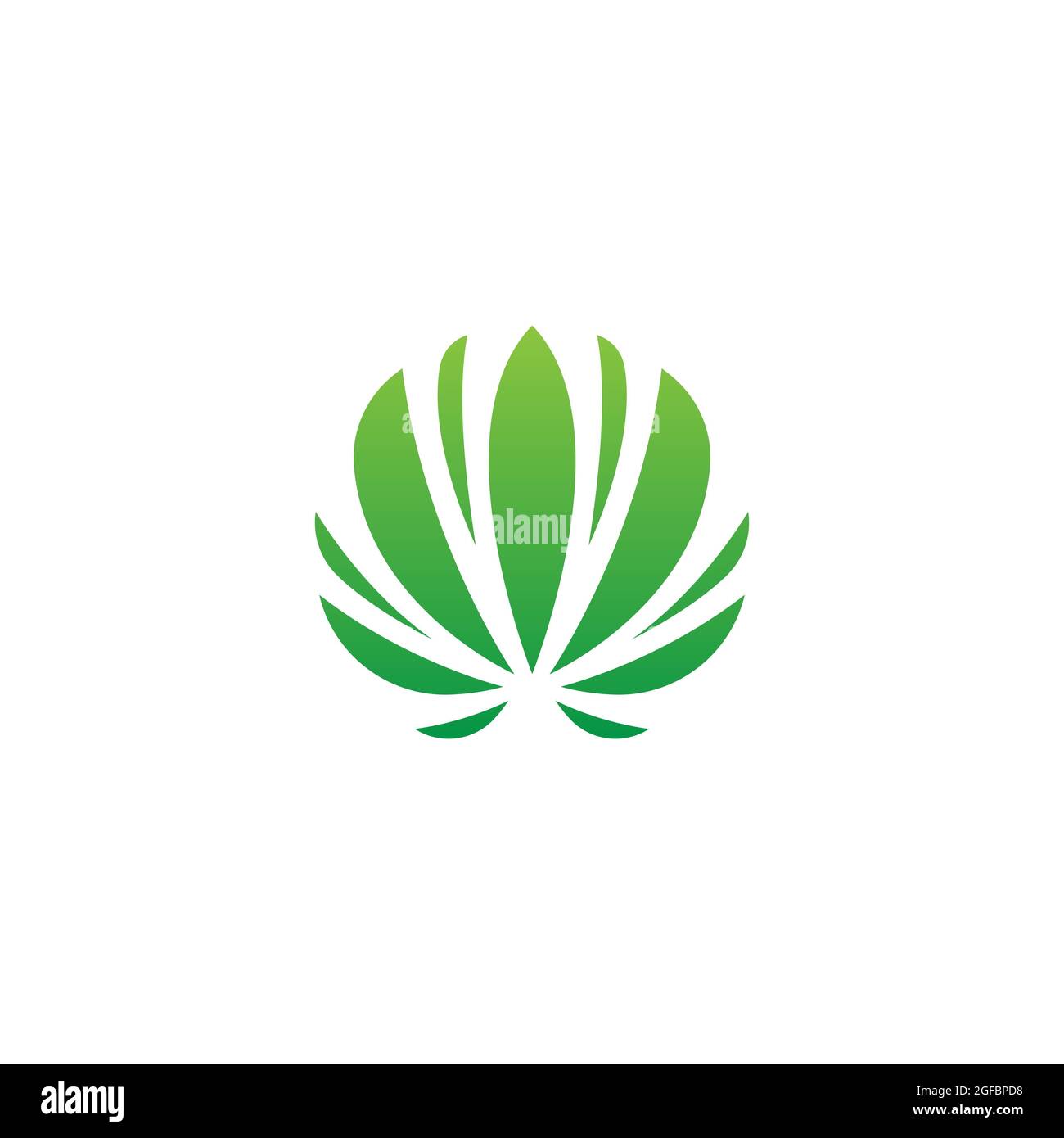 modèle de conception d'illustration du symbole du symbole de la marijuana canabiis Banque D'Images