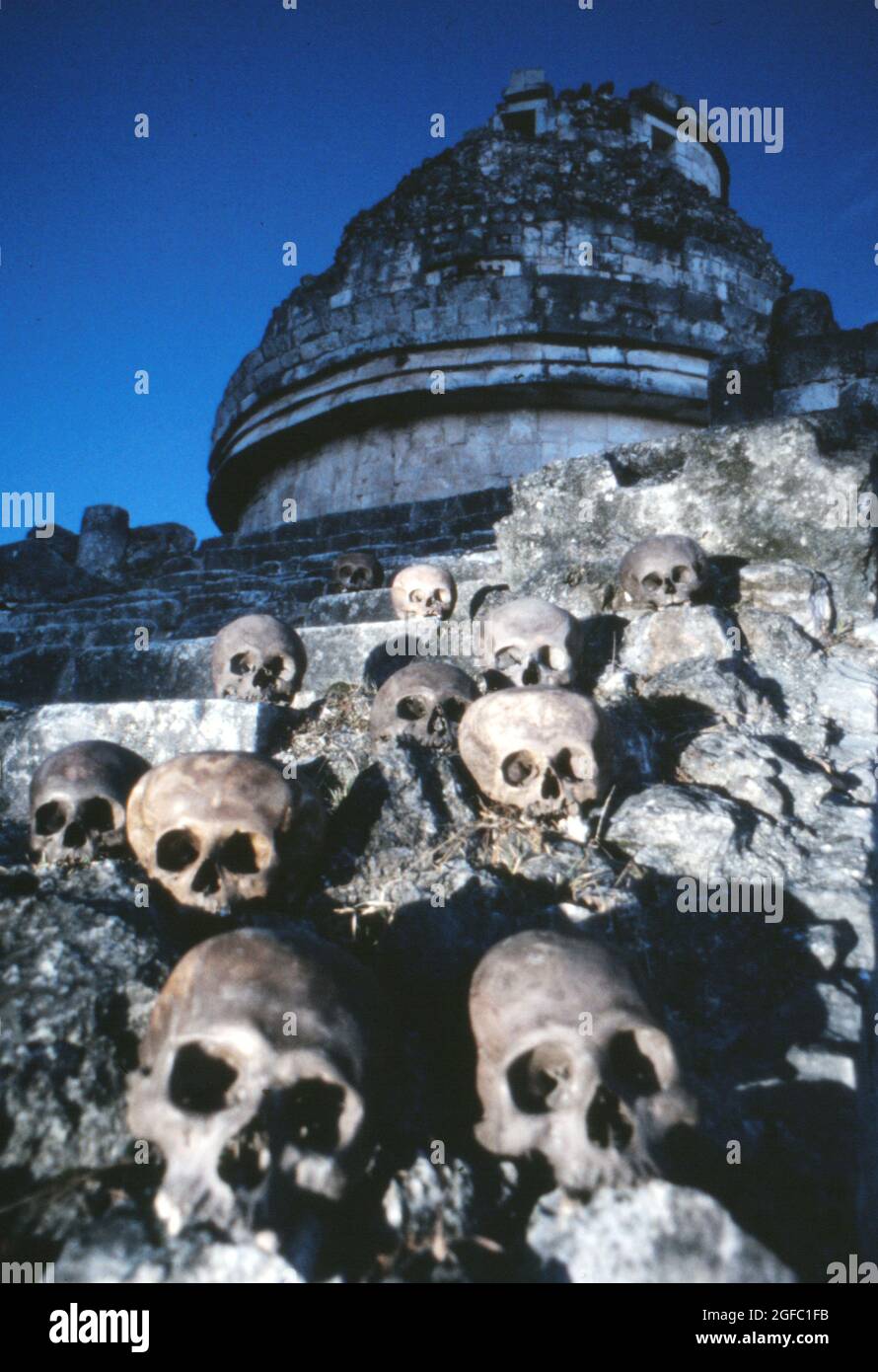 Des crânes de sacrifices humains dragué du cenote sacré à Chichen Itza par l'équipe archéologique de 1967 sous la direction de Román Piña Chán. Photo de Phillip Harrington Banque D'Images