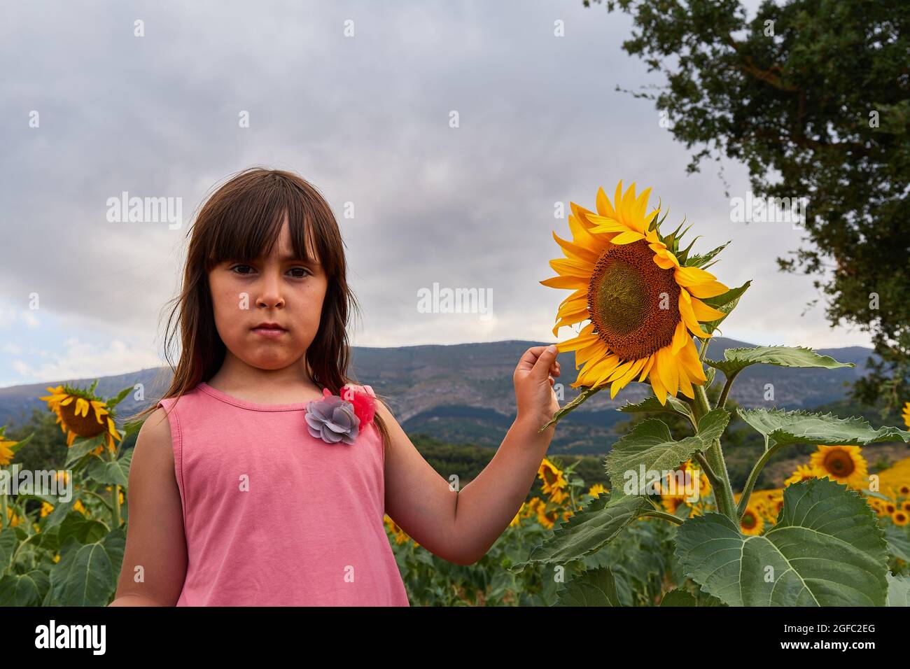 portrait d'une fille de 5 ans touchant les feuilles d'un tournesol Banque D'Images