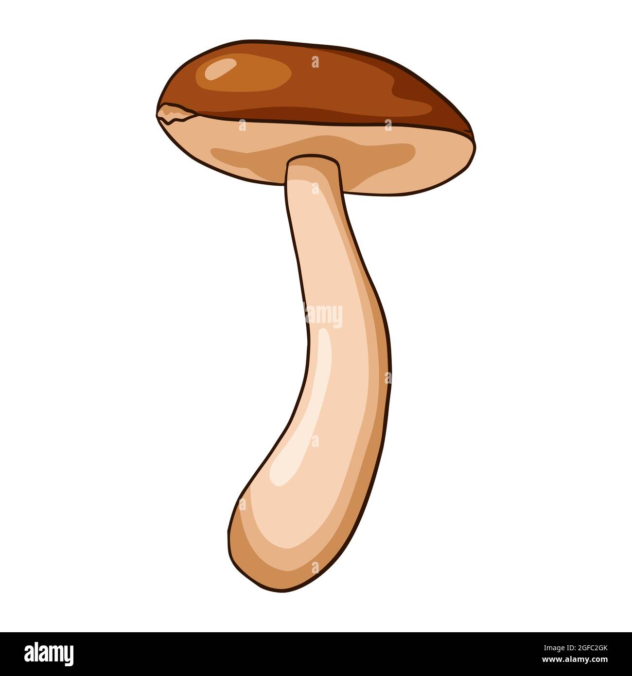 Illustration du champignon Boletus. Icône de champignon comestible Line art pour logo, emblème, imprimés, autocollants, feuilles de coloriage, design et décoration du menu Illustration de Vecteur