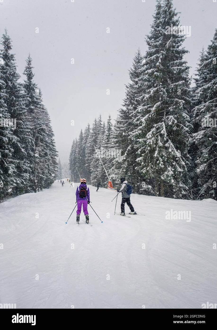 Les gens skient sur la piste enneigée de la station de ski de Bukovel dans les montagnes carpathes ukrainiennes. Scène de chute de neige, temps froid et blizzard. Banque D'Images