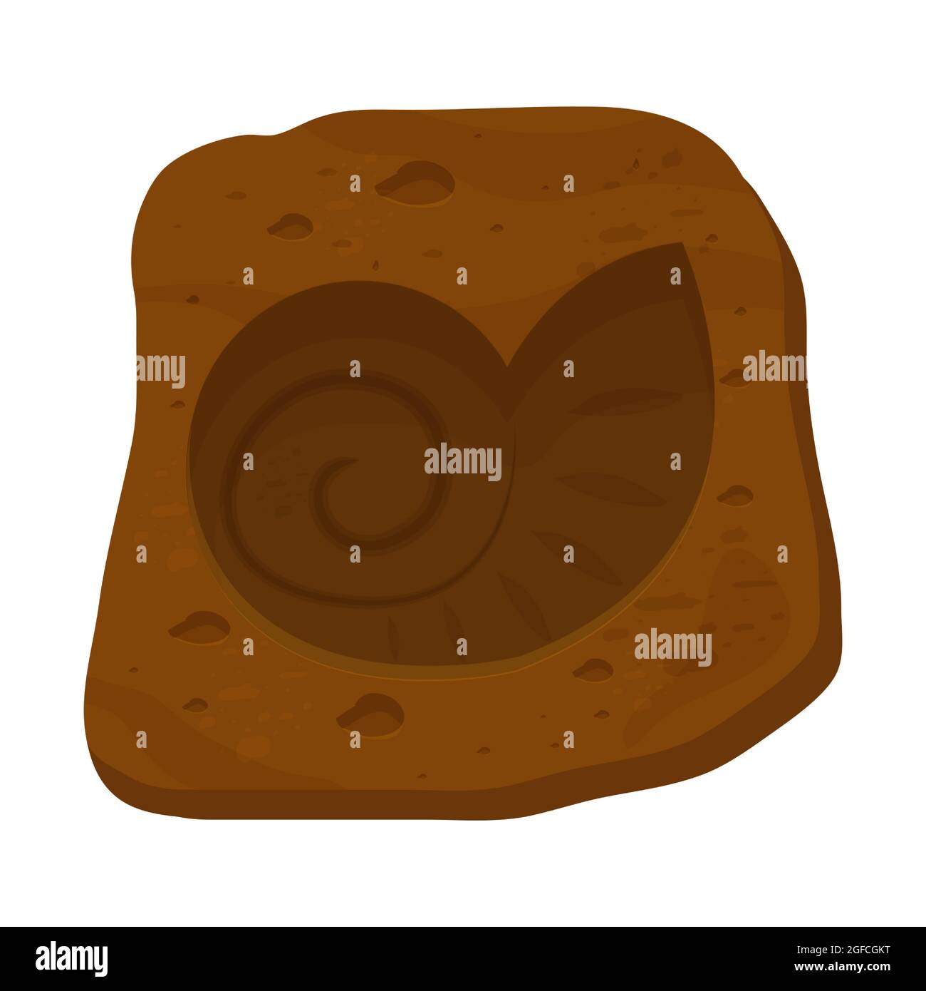 Écaille d'Amonite fossile, créature préhistorique de style caricature isolée sur fond blanc. Escargot en spirale scientifique. . Illustration vectorielle Illustration de Vecteur
