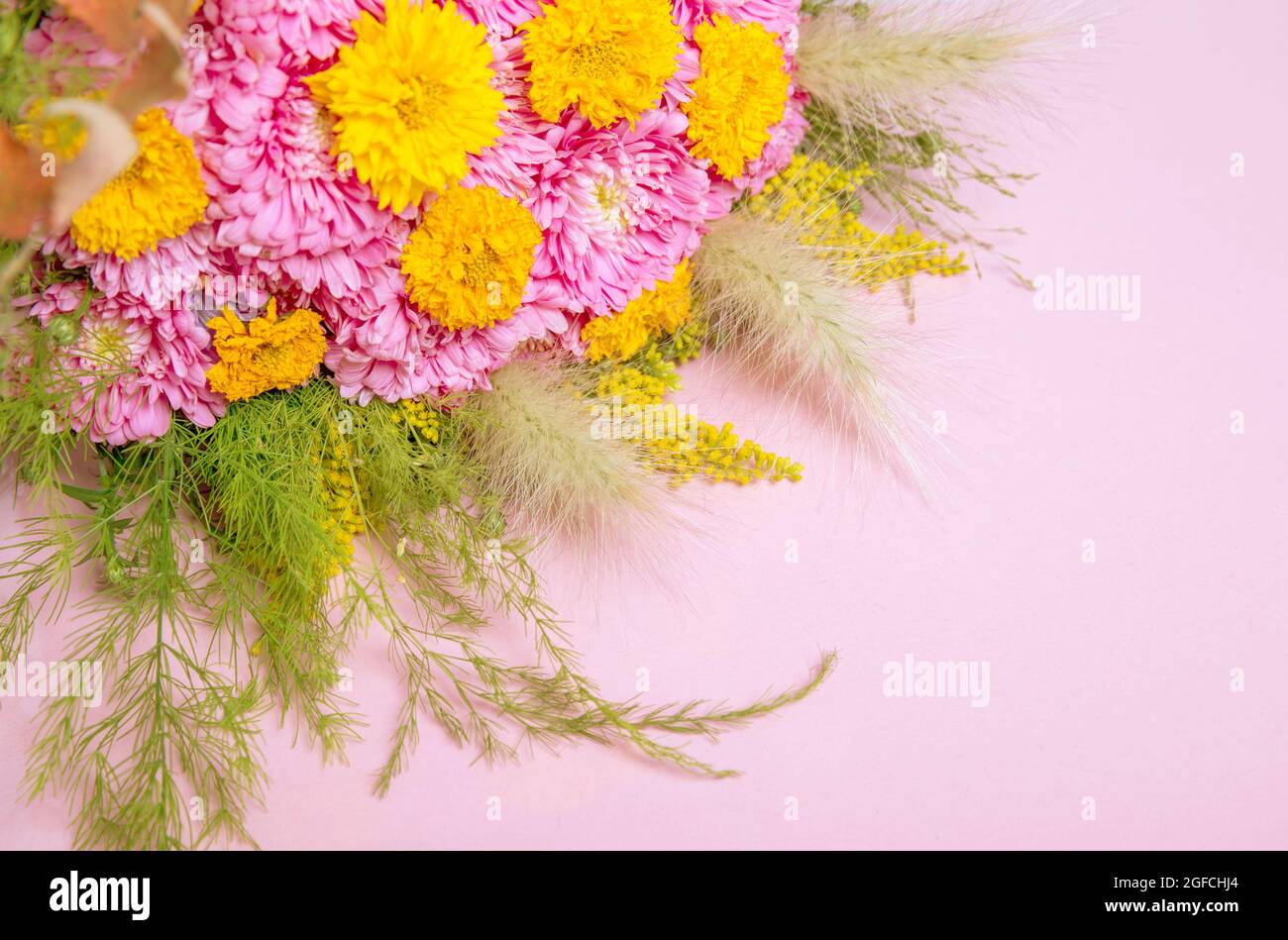 Arrière-plan d'automne avec fleurs roses jaunes, fleurs d'aster et de chrysanthème Banque D'Images