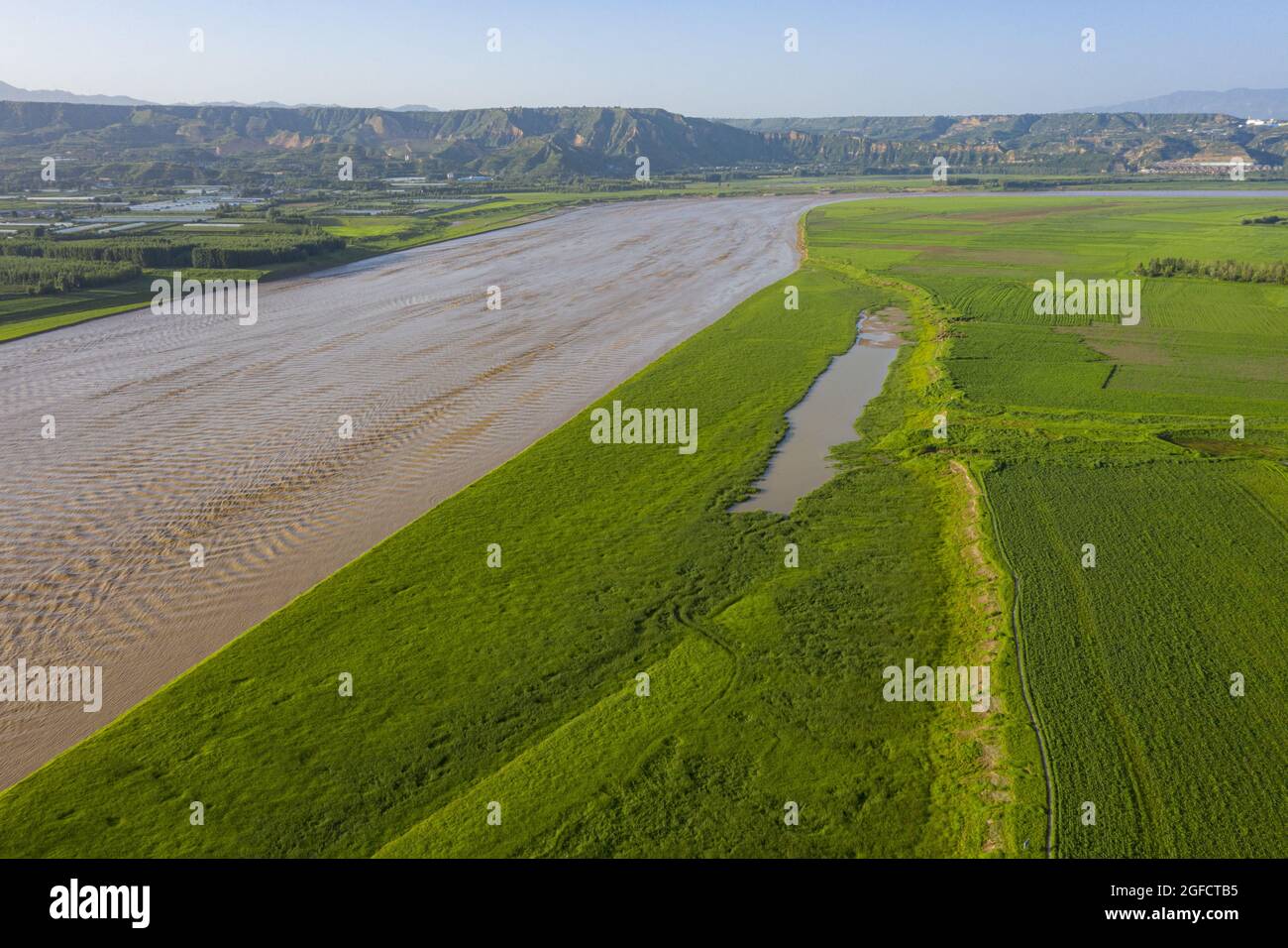 Sanmenxia, Sanmenxia, Chine. 25 août 2021. Le 24 août 2021, la ville de Sanmenxia, dans la province de Henan, la zone du réservoir de Sanmenxia de la rivière jaune a été photographiée d'une vue aérienne de l'herbe verte et verte, sans fin. L'herbe verte tendre s'étend lentement, et les rives de la rivière jaune sont comme un tapis déchiqueté, formant une belle image. (Image de crédit : © SIPA Asia via ZUMA Press Wire) Banque D'Images