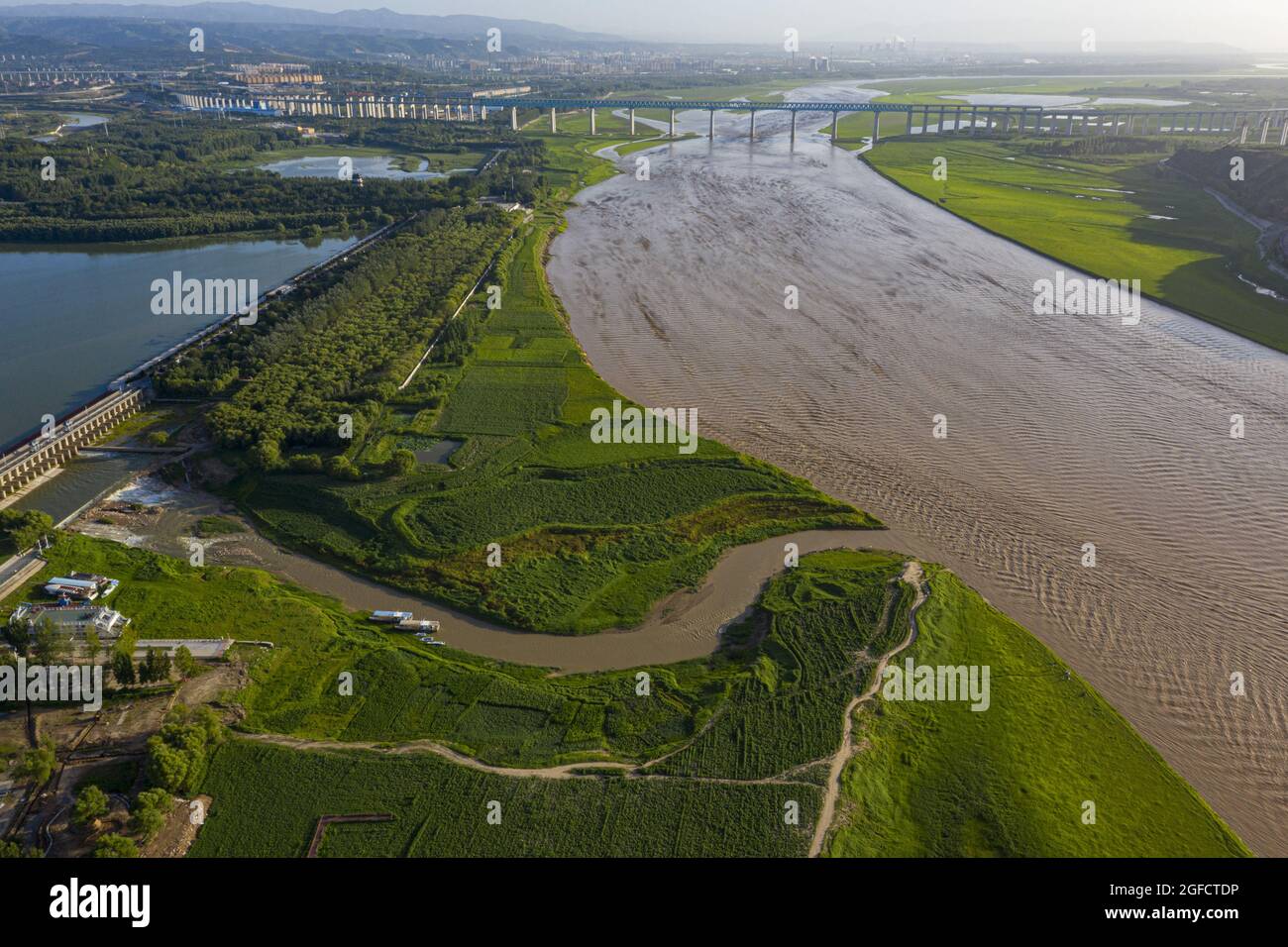 Sanmenxia, Sanmenxia, Chine. 25 août 2021. Le 24 août 2021, la ville de Sanmenxia, dans la province de Henan, la zone du réservoir de Sanmenxia de la rivière jaune a été photographiée d'une vue aérienne de l'herbe verte et verte, sans fin. L'herbe verte tendre s'étend lentement, et les rives de la rivière jaune sont comme un tapis déchiqueté, formant une belle image. (Image de crédit : © SIPA Asia via ZUMA Press Wire) Banque D'Images