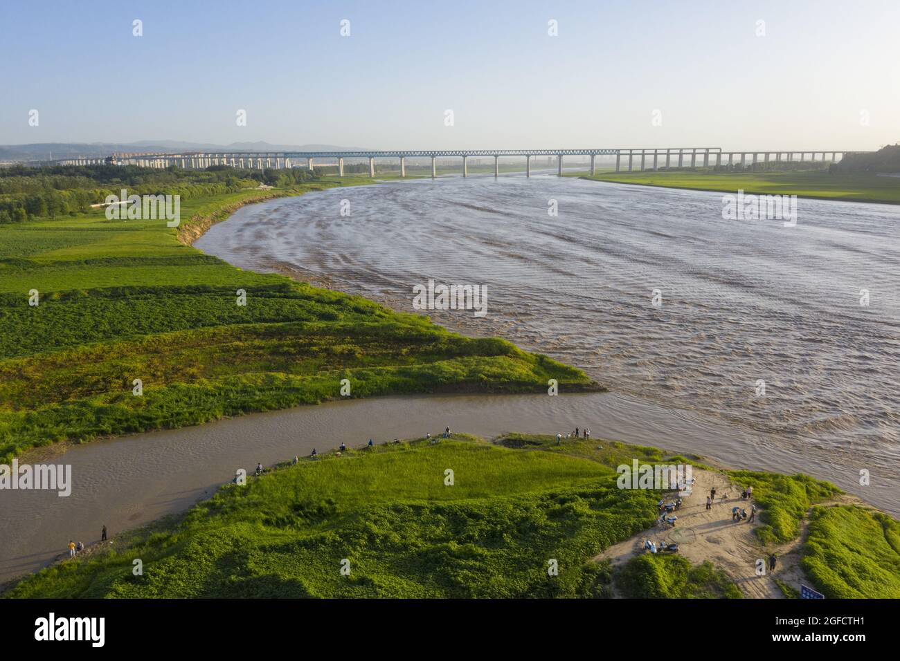 Sanmenxia, Sanmenxia, Chine. 25 août 2021. Le 24 août 2021, la ville de Sanmenxia, dans la province de Henan, la zone du réservoir de Sanmenxia de la rivière jaune a été photographiée d'une vue aérienne de l'herbe verte et verte, sans fin. L'herbe verte tendre s'étend lentement, et les rives de la rivière jaune sont comme un tapis déchiqueté, formant une belle image. (Image de crédit : © SIPA Asia via ZUMA Press Wire) Banque D'Images