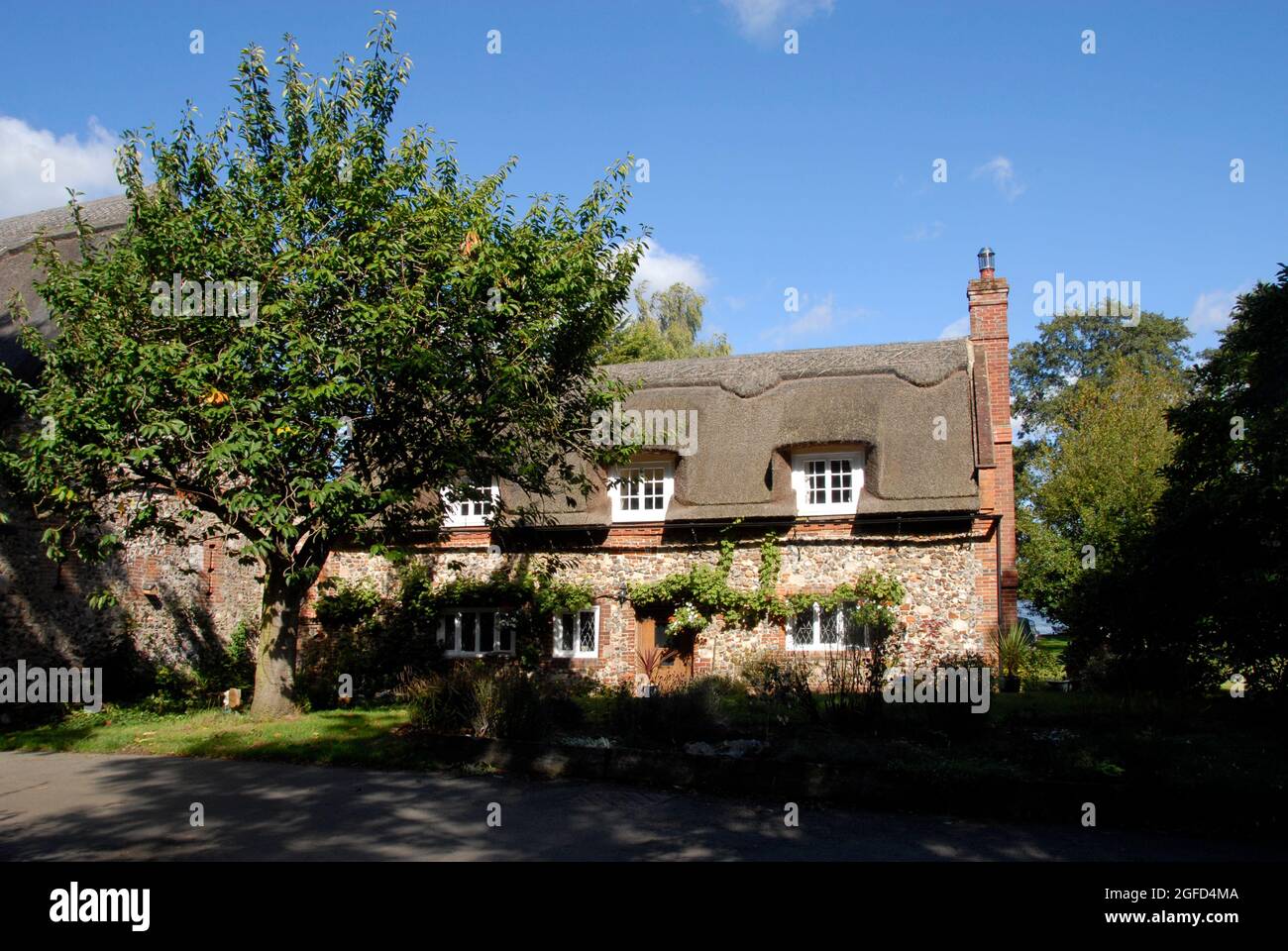 Jolie maison de chaume dans le village de Ranworth, Norfolk, Angleterre Banque D'Images