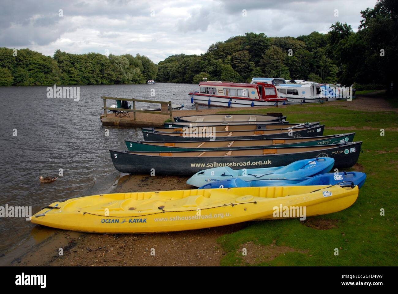 Les croiseurs à moteur amarrés sur Salhouse Broad, Norfolk avec des canoës tirés sur la rive Banque D'Images