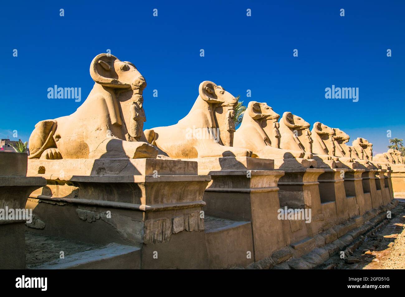 Rangée d'anciennes sculptures du criosphinx dans le temple de Karnak , Louxor (Thèbes), Égypte. Le plus grand complexe de temples de l'antiquité dans le monde. UNESCO monde H Banque D'Images