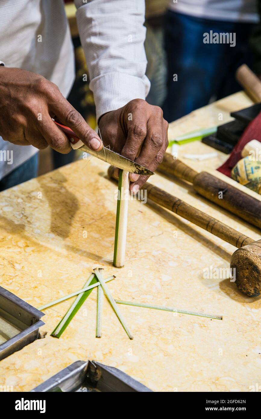 Papyrus artisan à Syracuse coupant la tige d'une plante papyrus pour obtenir des bandes minces. Luxor, Egipt. Banque D'Images