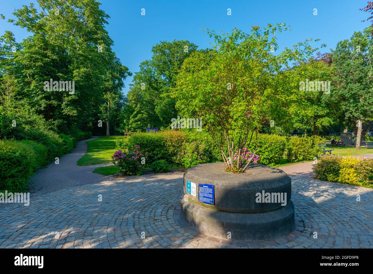 Parc public Stadtpark, Garding, péninsule Eiderstedt, État fédéral Schleswig-Holstein, Allemagne du Nord Banque D'Images