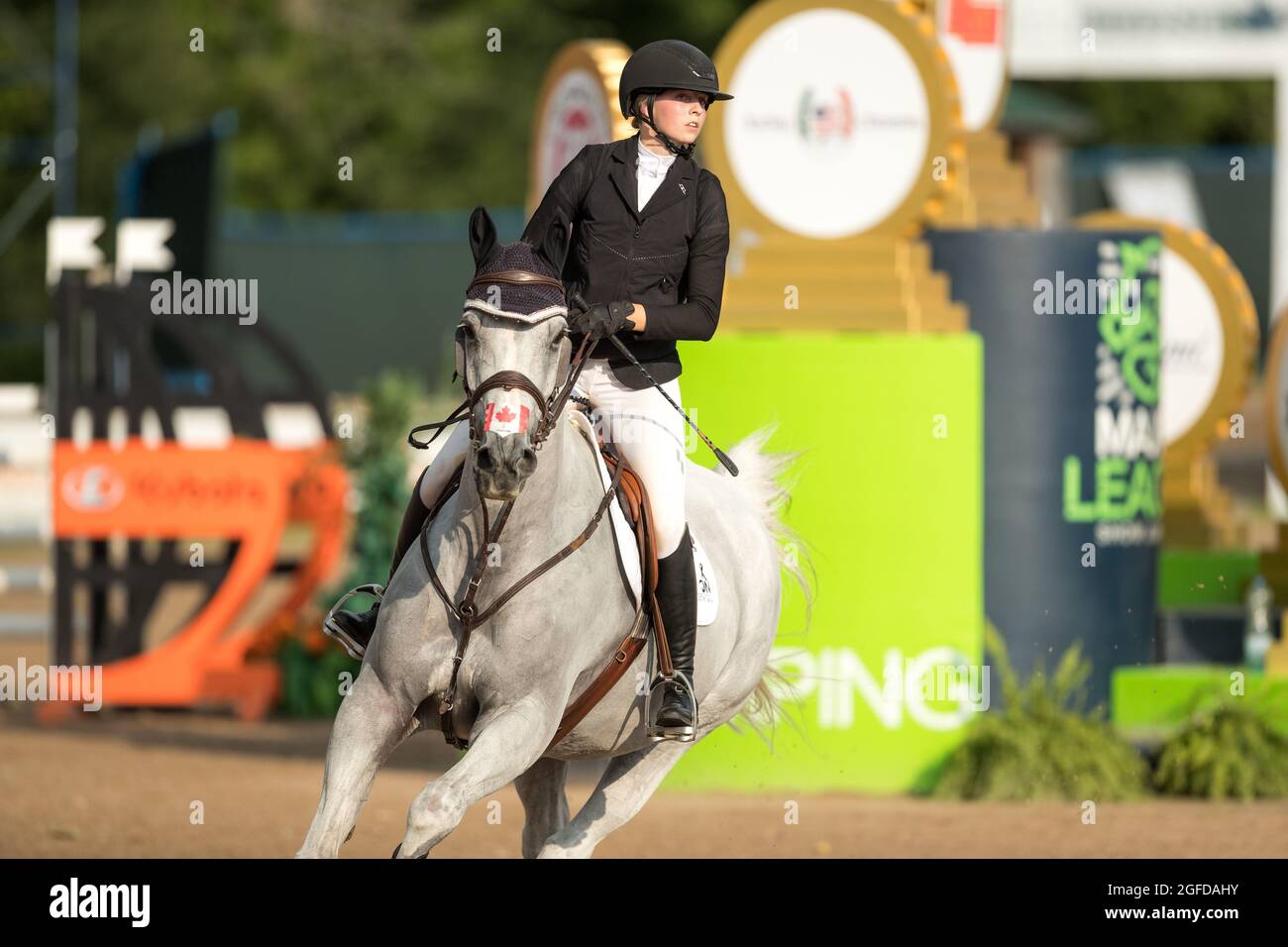 Erin, Canada - 22 août 2021. Reese Tobin, la canadienne junior, montre avec son mont Dartagnan Z dans l'épreuve des champions aux tournois Angelstone. Banque D'Images