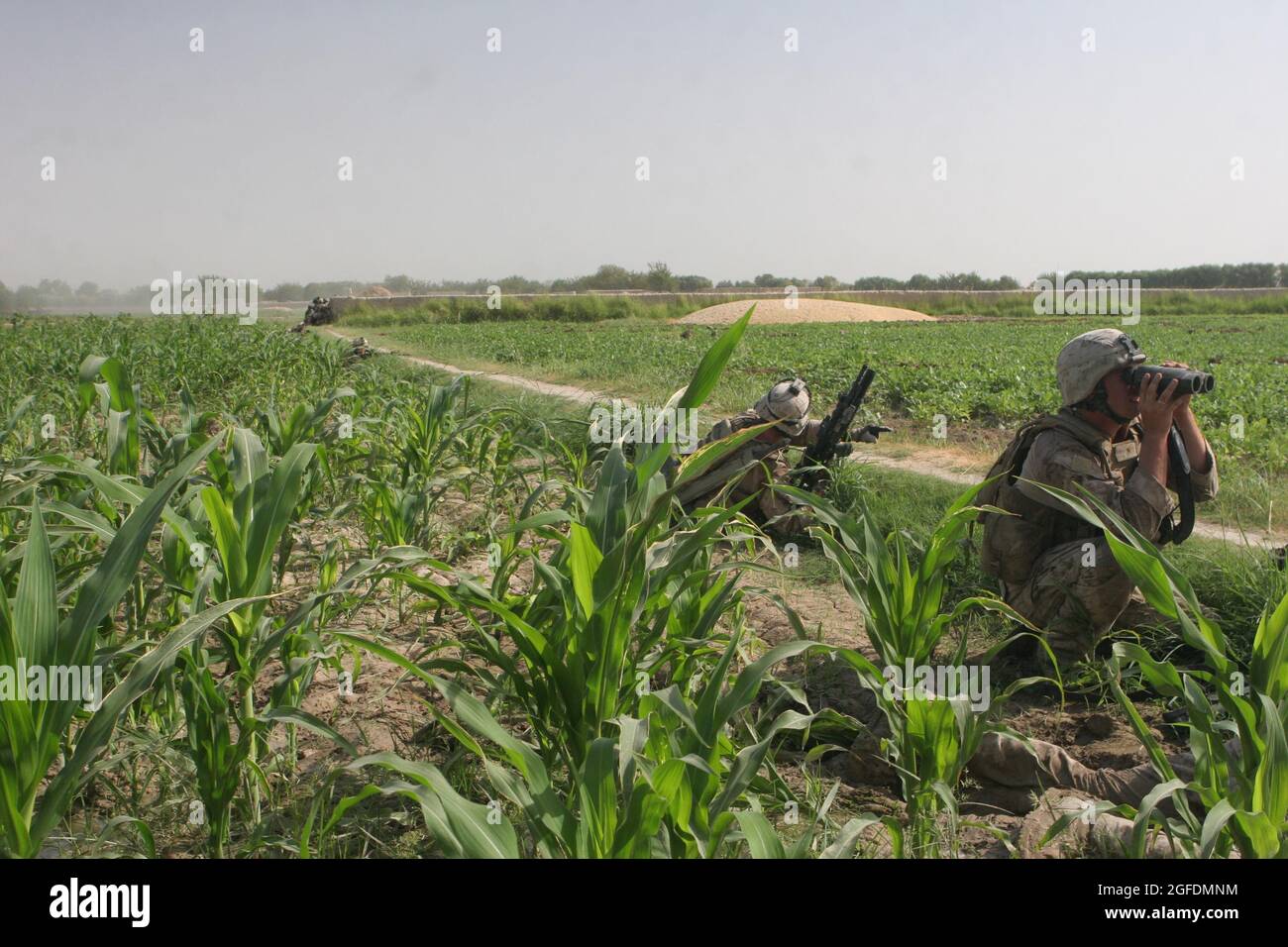 CPL lance Joshua Vance, un chef d'équipe de la compagnie Marines E, 2e Bataillon, 8e Régiment de Marine, signale les positions ennemies lors d'une fusillade de de six heures avec les insurgés talibans ici le 13 août. Vance vient de Raleigh, en Caroline du Nord Banque D'Images