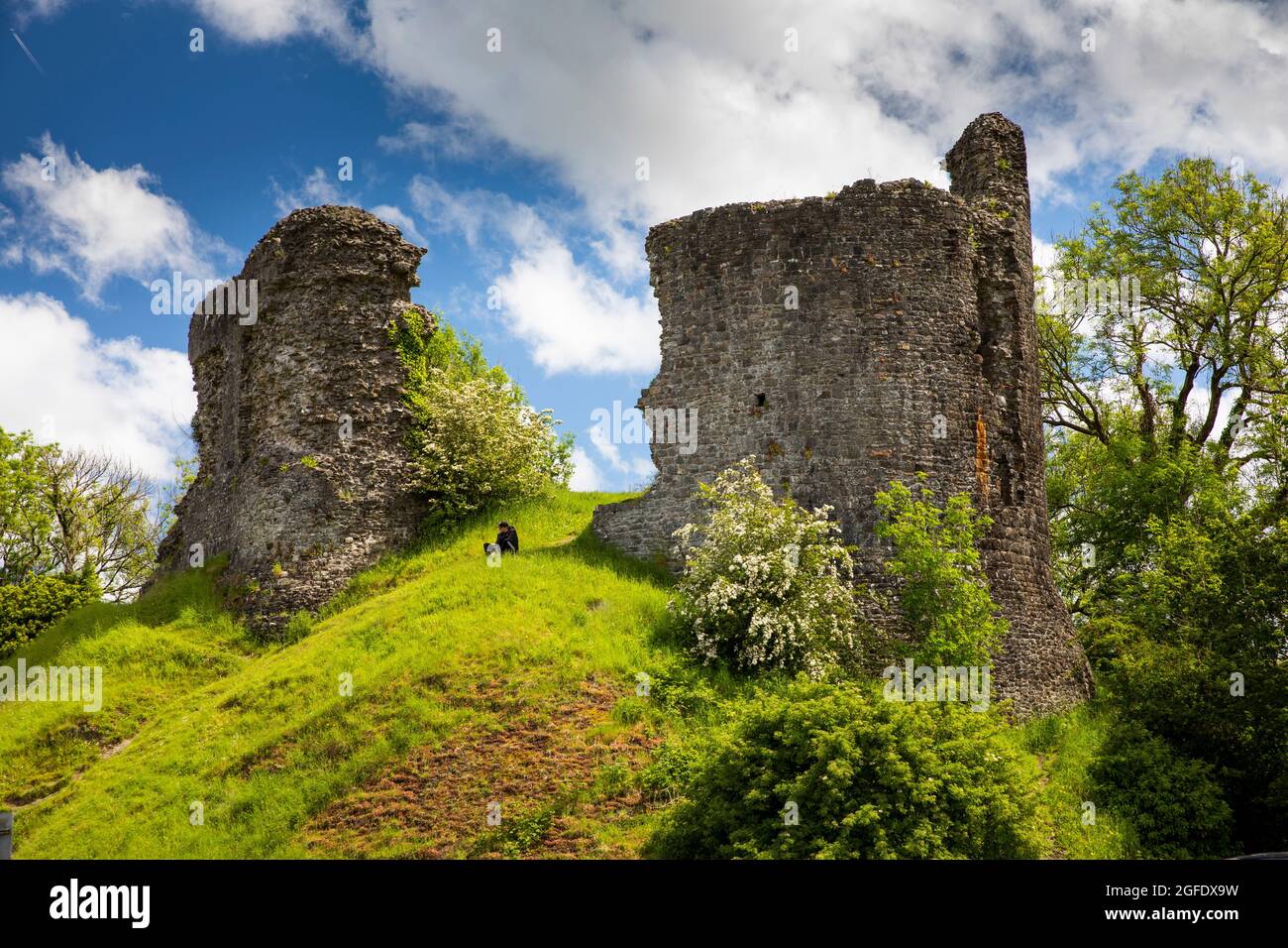 Royaume-Uni, pays de Galles, Carmarthenshire, Llandovery, Château, le visiteur s'est assis sur grassy bailey Banque D'Images