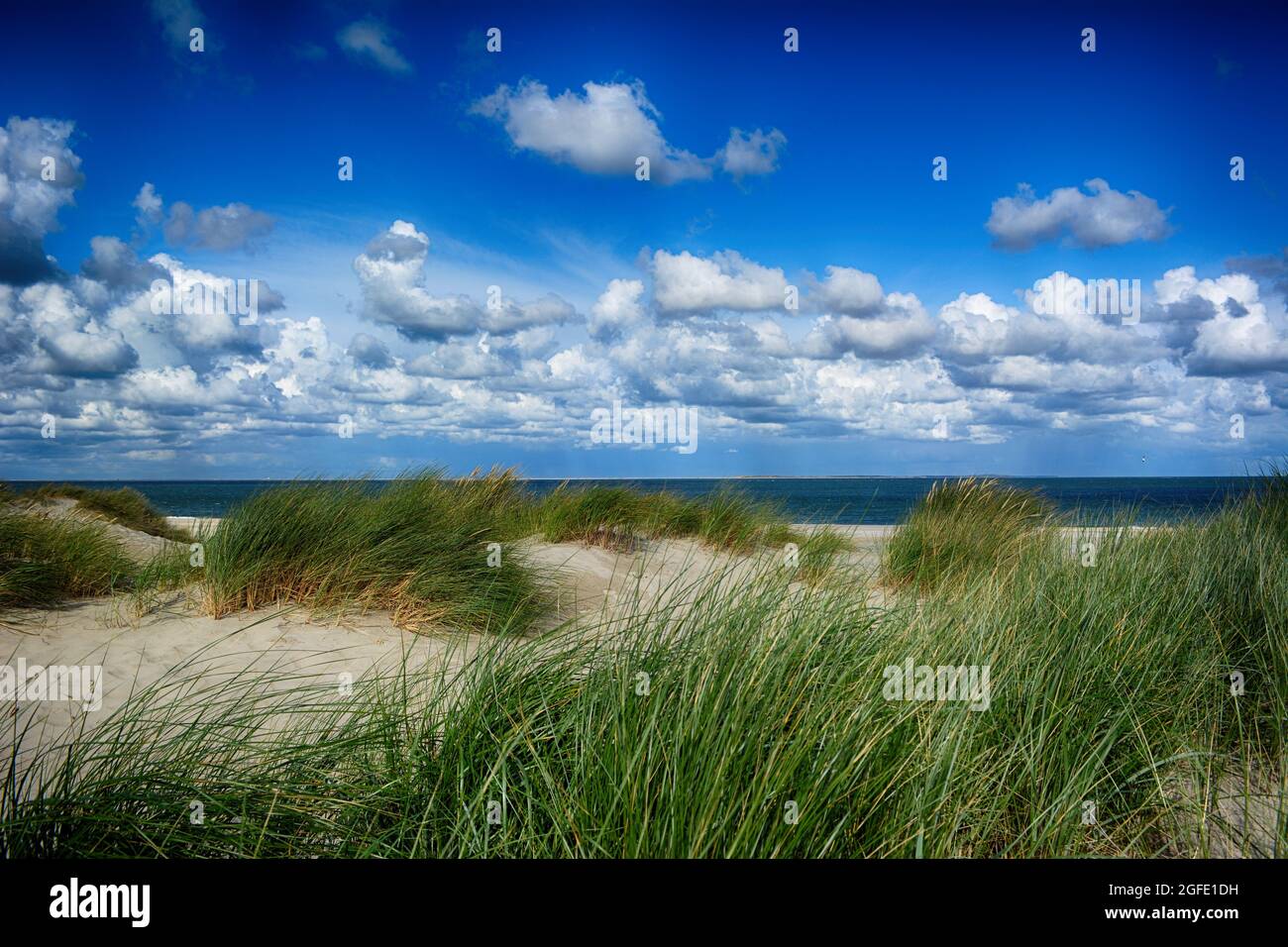 Dunes avec herbe sur l'île de Texel aux pays-Bas avec un fond de l'océan et des nuages Banque D'Images