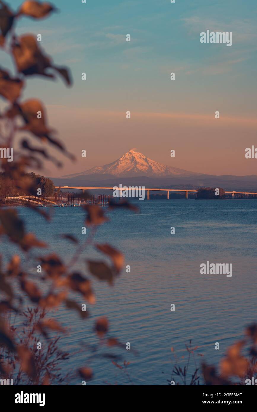 Mt Hood qui illumine le fleuve Columbia pendant la saison d'automne coucher de soleil avec feuillage d'automne, Vancouver Washington et Portland Oregon, Pacifique Nord-Ouest Banque D'Images