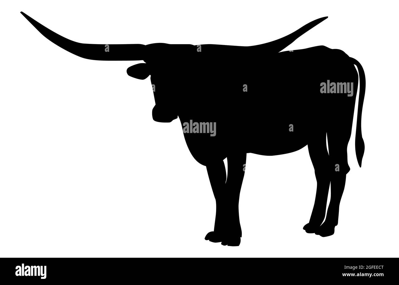 Texas Longhorn taureau, icône du bétail, sur fond blanc. Illustrations vectorielles. Illustration de Vecteur