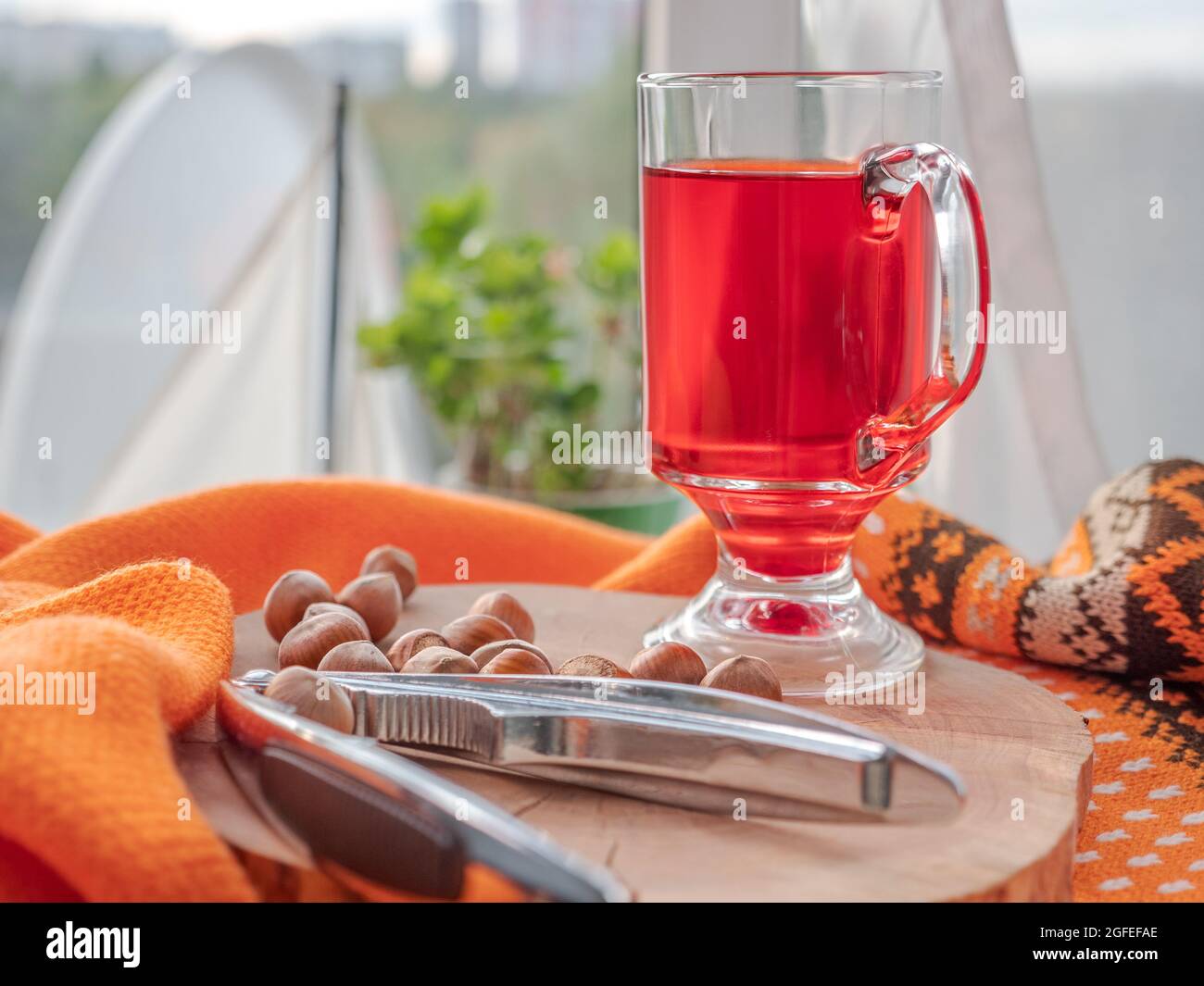 Un verre de thé aux baies rouges et de noisettes avec casse-noisette sur une planche de bois sur un confortable tissu orange chaud. Fenêtre avec dentelle de rideau à l'arrière-plan Banque D'Images