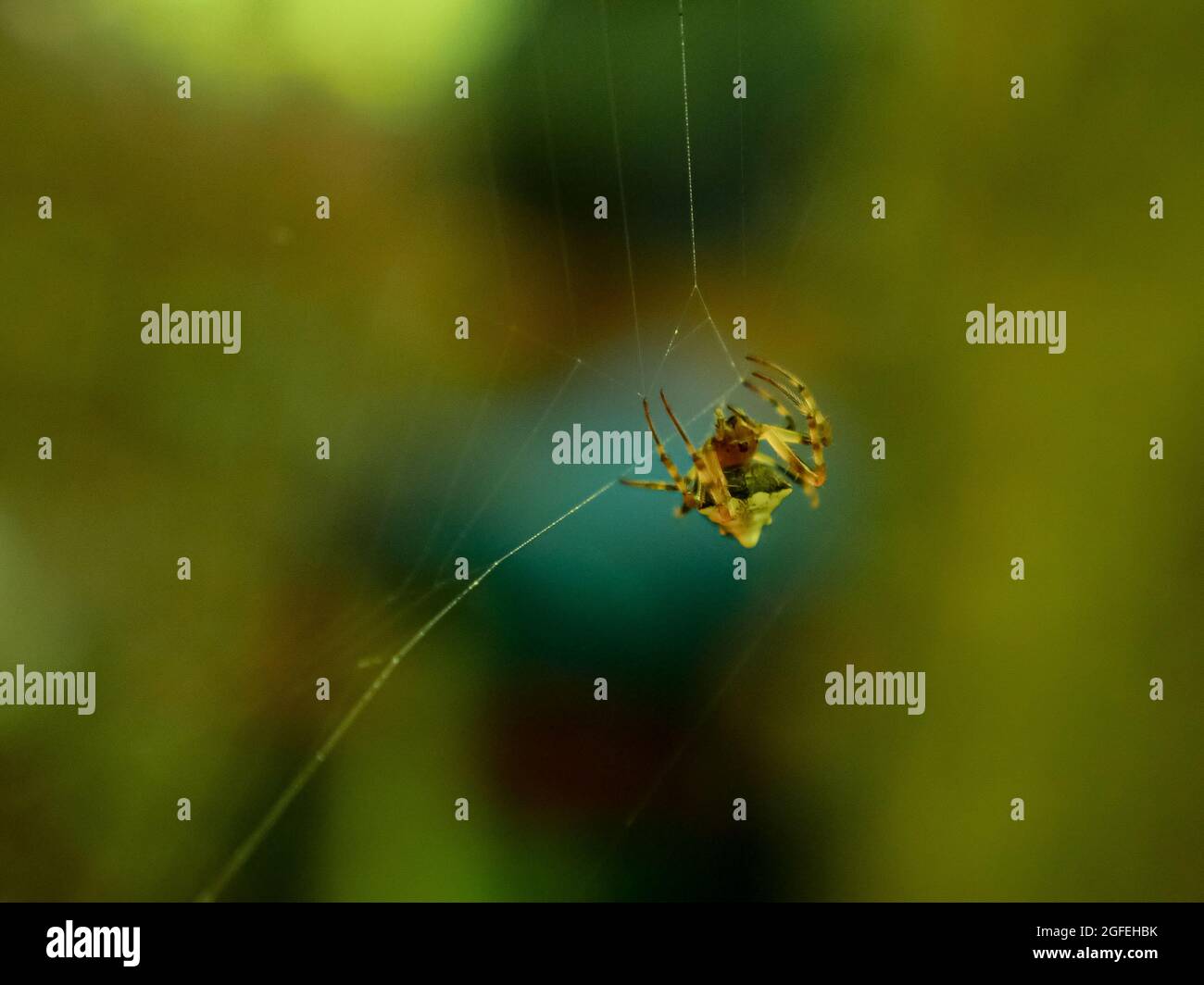 river ridge backpack trail