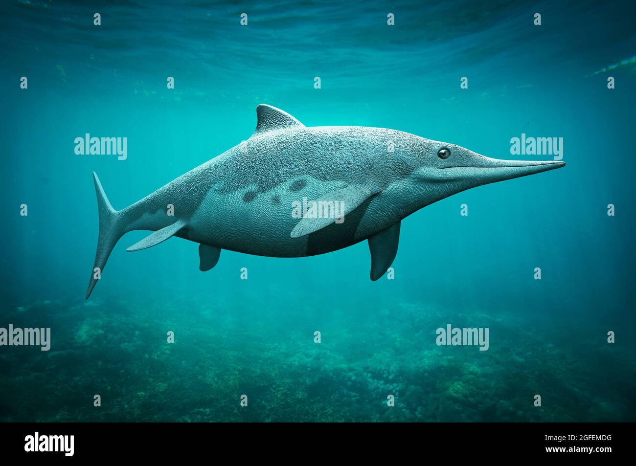 Ophthalmosaurus ichthyosaure de la période jurassique Banque D'Images