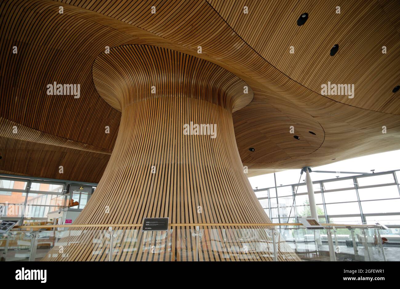 À l'intérieur du bâtiment du Parlement gallois, dans la baie de Cardiff, au pays de Galles. Plafond/toit ondulé de type champignon en bois de cèdre. Richard Rogers a conçu le bâtiment. Banque D'Images