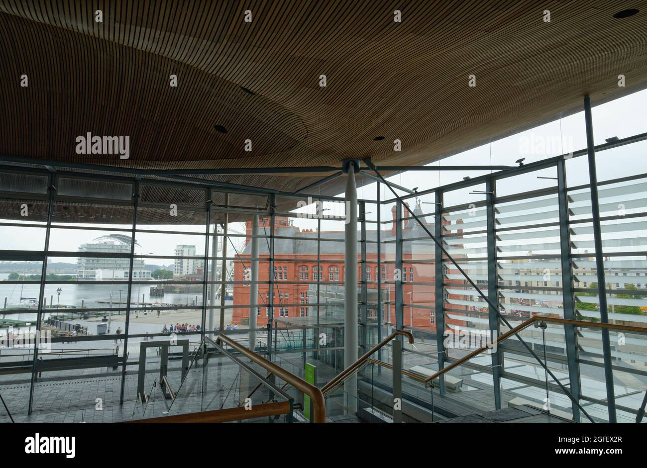 À l'intérieur du bâtiment du Parlement gallois, dans la baie de Cardiff, au pays de Galles. Plafond/toit ondulé de type champignon en bois de cèdre. Richard Rogers a conçu le bâtiment. Banque D'Images