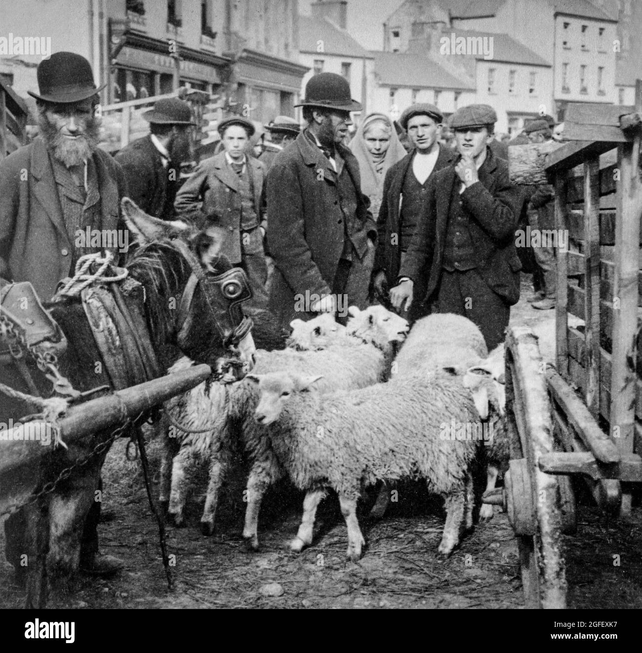 Une photographie du début du XXe siècle des agriculteurs et des habitants de la région lors d'une foire aux moutons qui s'est tenue sur la place du marché, dans la ville de Killarney, dans le comté de Kerry, en Irlande. Banque D'Images
