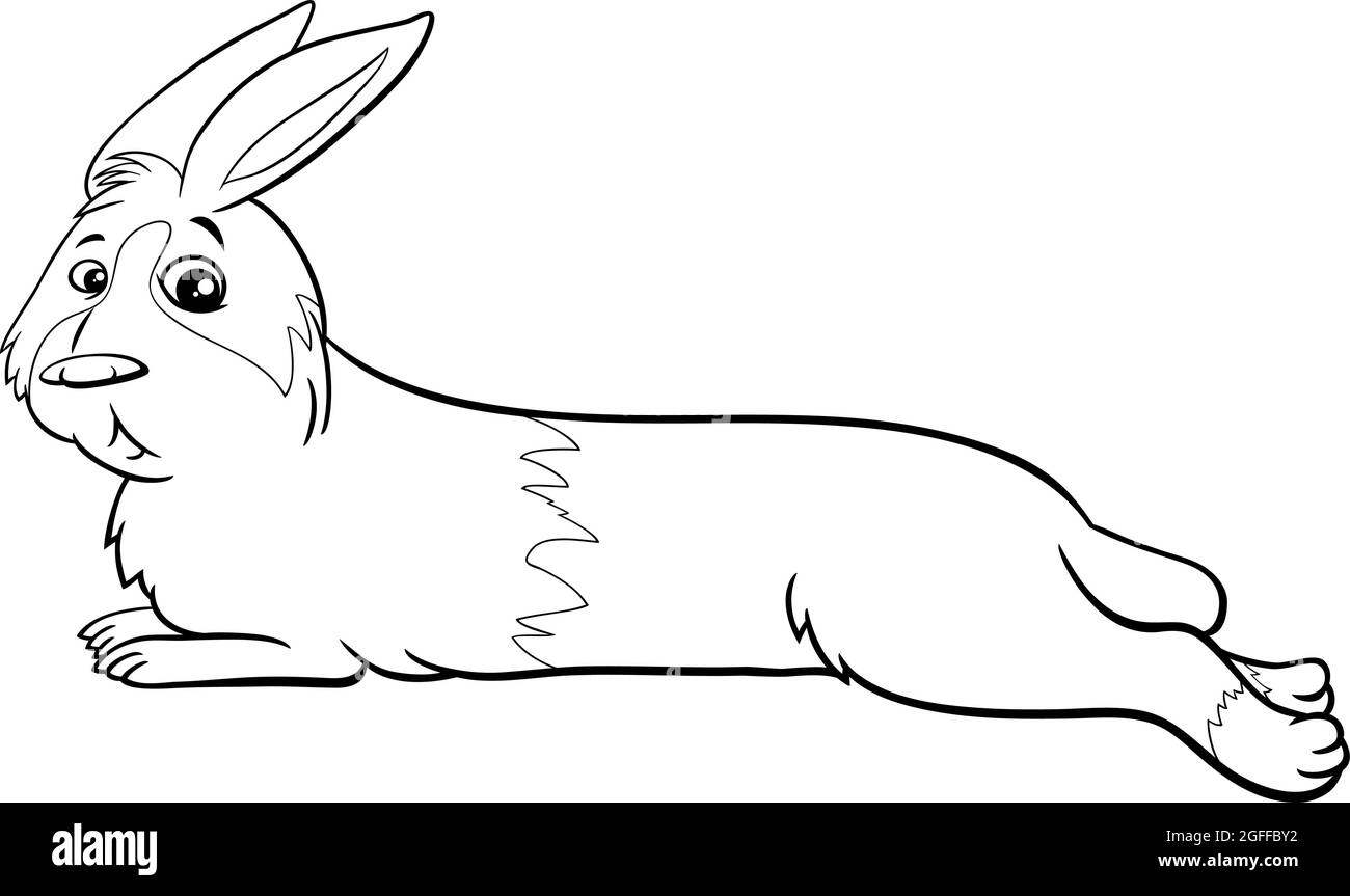 Dessin animé noir et blanc illustration de joli menteur nain lapin bande dessinée animal caractère coloriage page livre Illustration de Vecteur