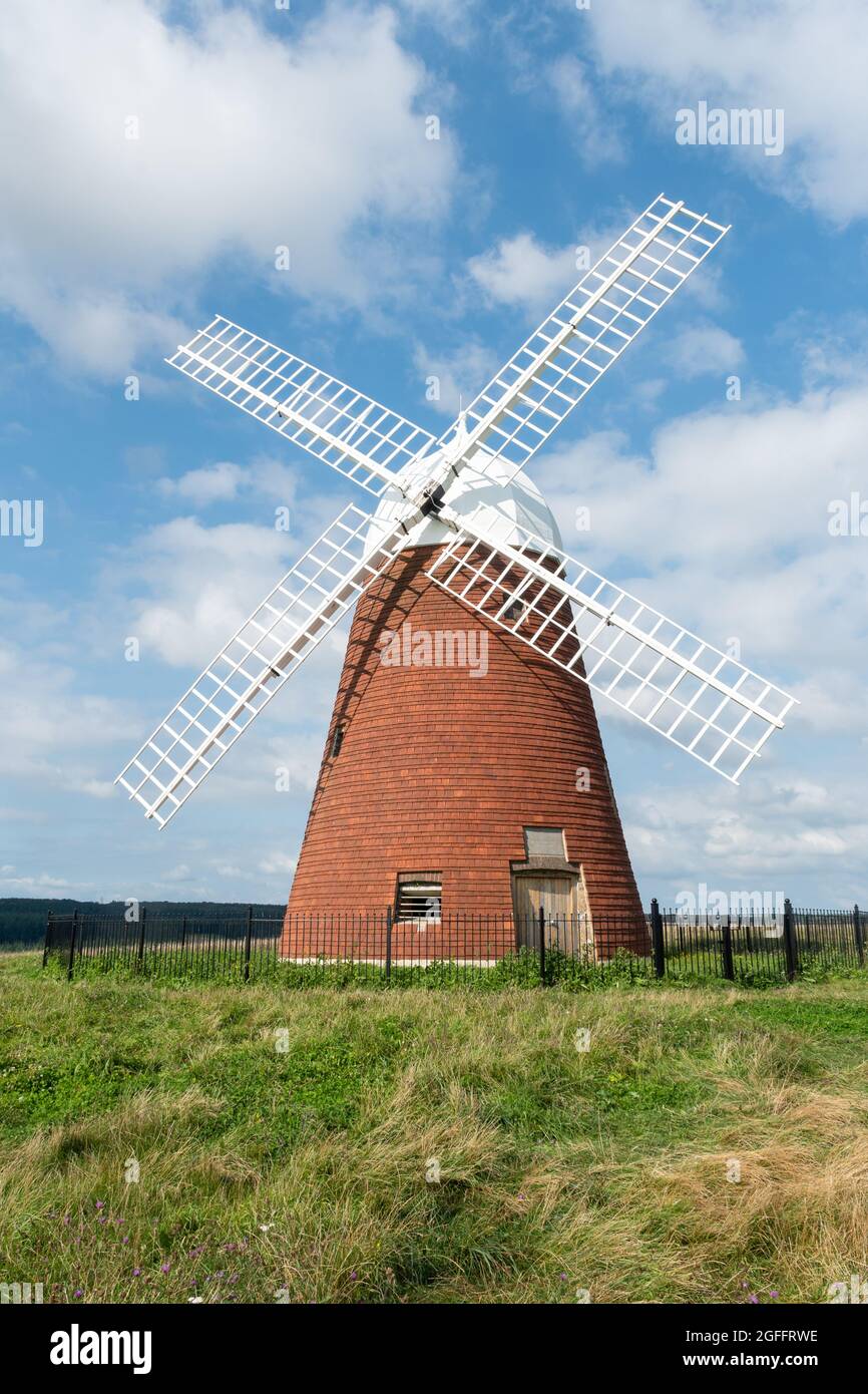 Halnaker Windmill dans le parc national de South Downs à West Sussex, Angleterre, Royaume-Uni, lors d'une journée d'été ensoleillée en août Banque D'Images