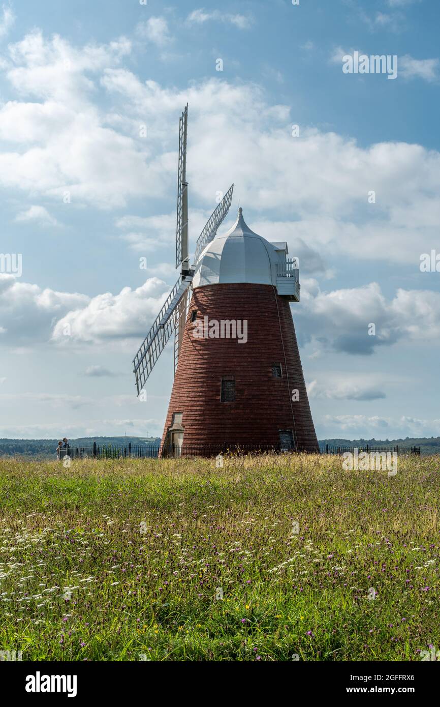 Halnaker Windmill dans le parc national de South Downs à West Sussex, Angleterre, Royaume-Uni, lors d'une journée d'été ensoleillée en août Banque D'Images