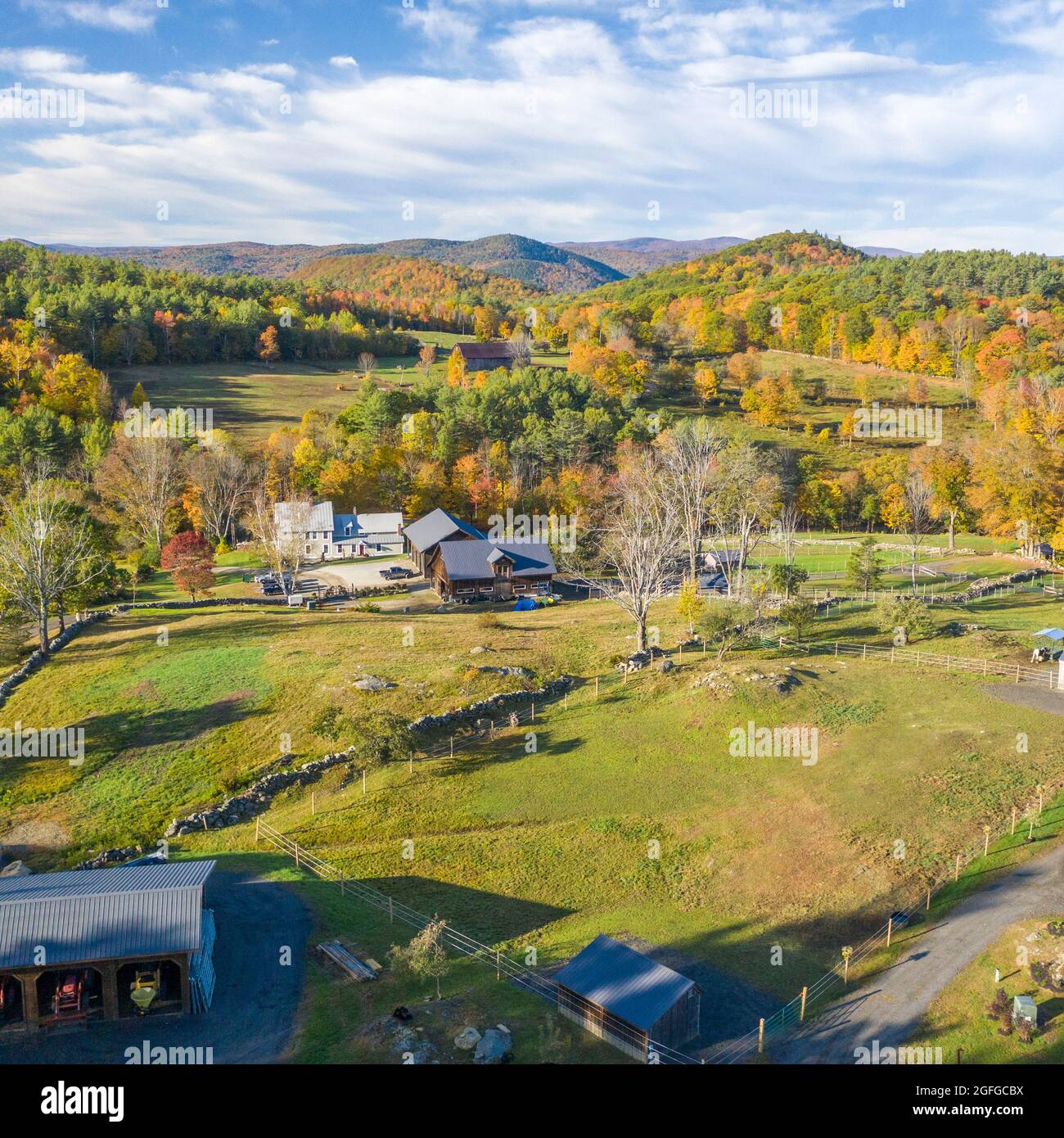 Vue aérienne de la ferme équestre du Vermont dans le feuillage d'automne avec granges et maison Banque D'Images