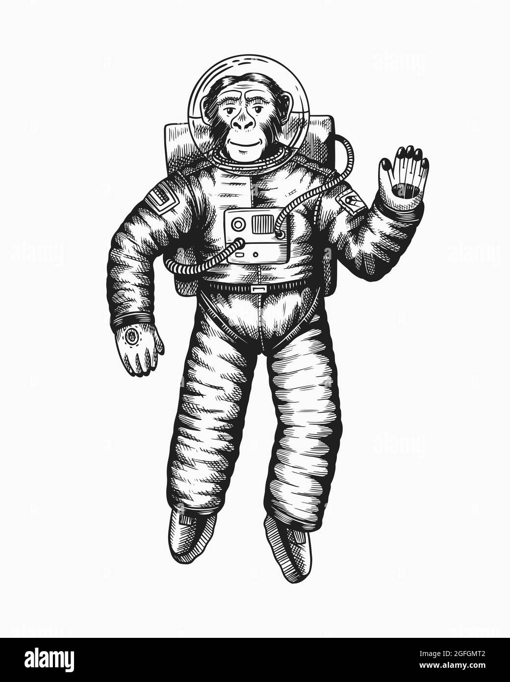 L'astronaute de singe fait la main. Chimpanzé cosmonaute cosmonaute. Animal à la mode. Ancien croquis monochrome gravé à la main. Vecteur Illustration de Vecteur