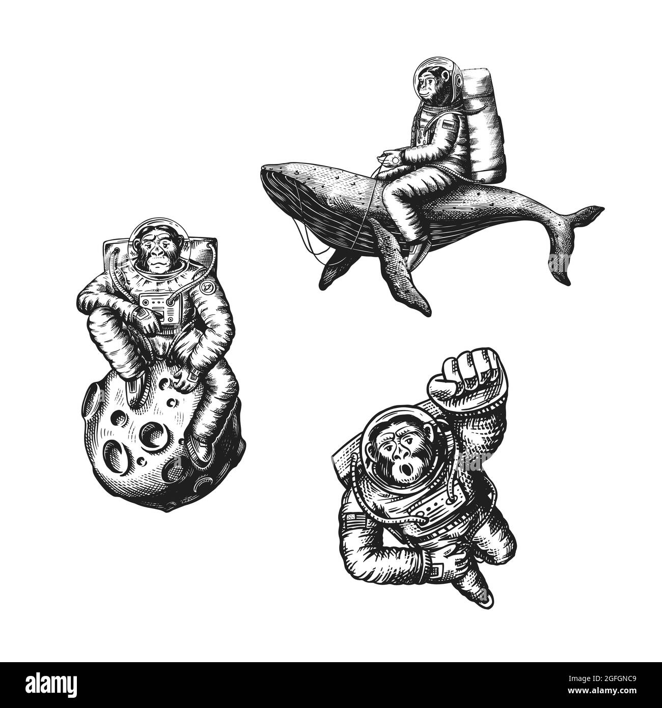Astronaute de singe avec une baleine et une lune. Chimpanzé cosmonaute cosmonaute. Animal à la mode. Ancien croquis monochrome gravé à la main Illustration de Vecteur