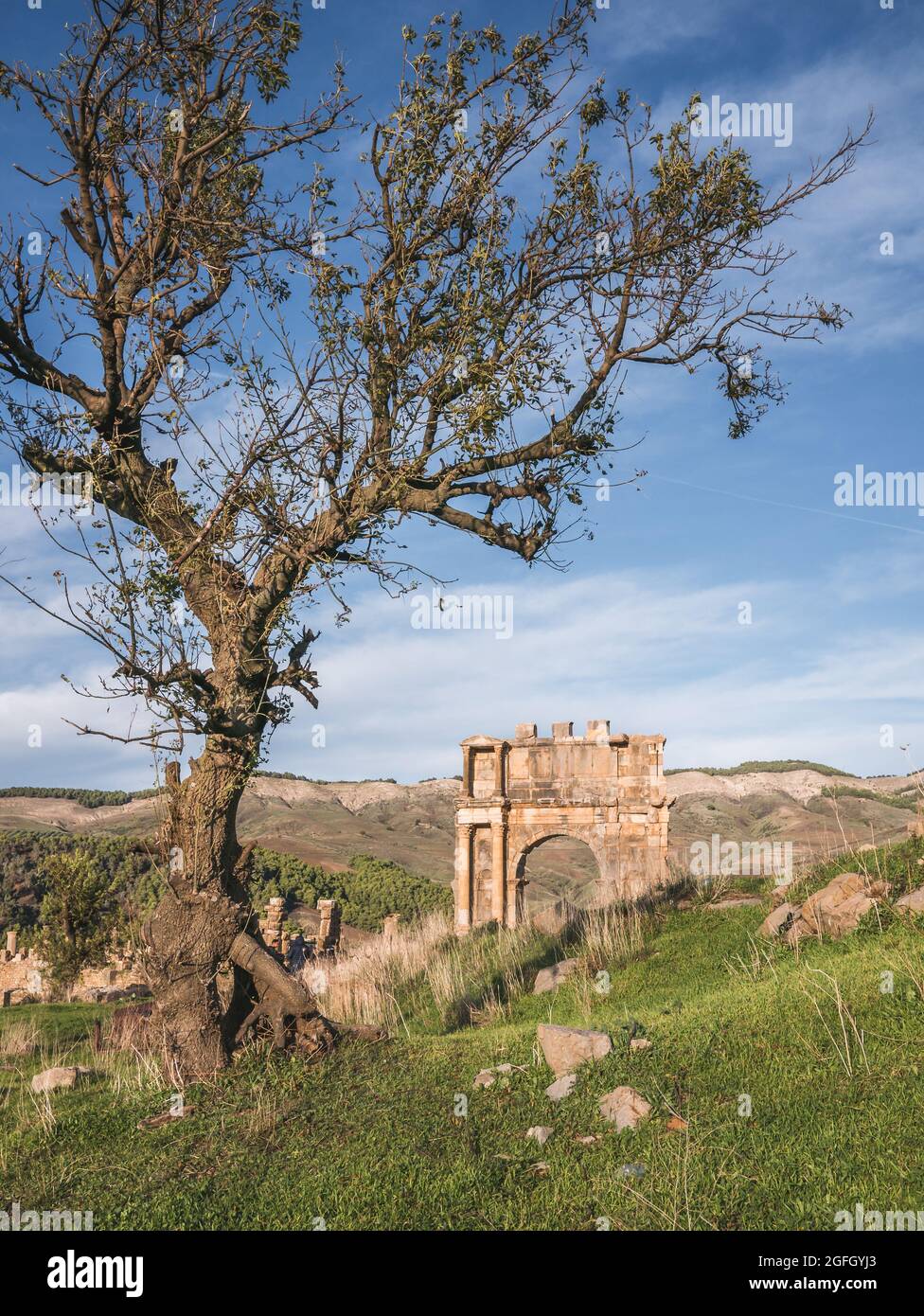 Ville romaine de Djemila, Algérie - Patrimoine mondial de l'UNESCO Banque D'Images