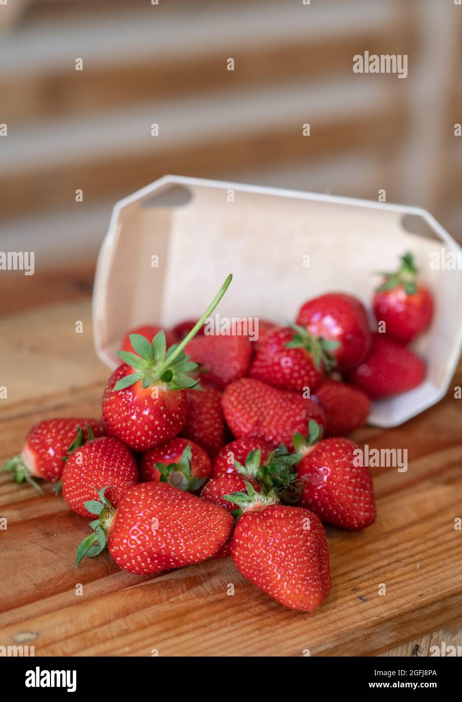 Punnet de fraises dans le sud-est de la France Banque D'Images