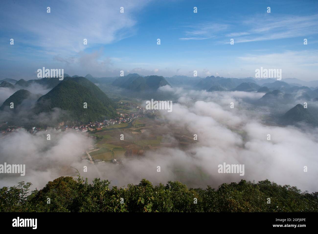 Bac son Valley champ de riz en période de récolte, province de Lang son, Vietnam Banque D'Images