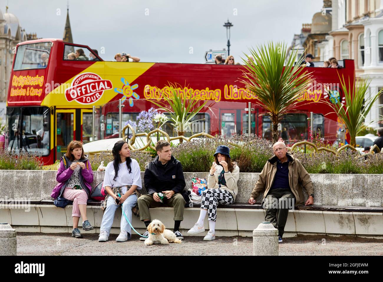 Ville côtière de Llandudno dans le nord du pays de Galles, promenade en bus touristique à toit ouvert Banque D'Images