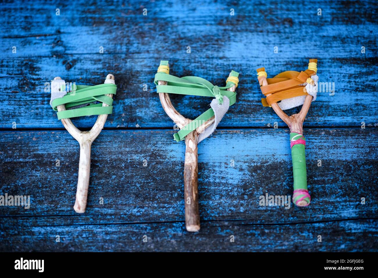 Trois catapultes artisanales rustiques ou des lanières de branches en bois avec bandes de caoutchouc élastique exposées à plat sur un dos de planche en bois bleu Banque D'Images