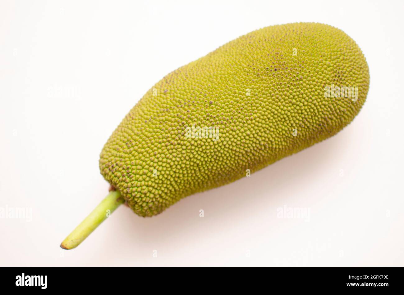 Artocarpus heterophyllus ou Jackfruit, vue en angle supérieur sur fond blanc Banque D'Images