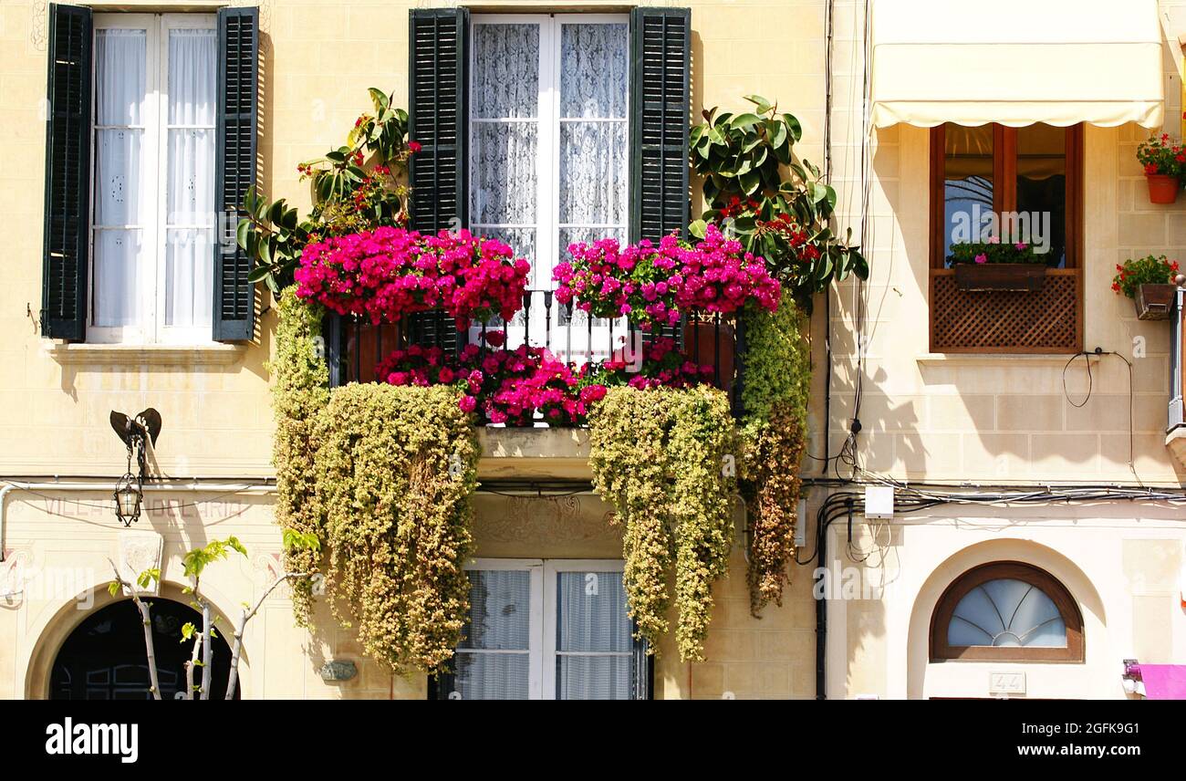 Balcon avec pots de fleurs à Sitges, Barcelone, Catalogne, Espagne, Europe Banque D'Images