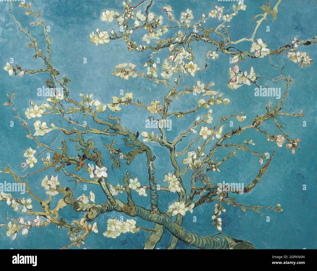 Vincent van Gogh – Almond Blossom (1890) célèbre peinture. Banque D'Images