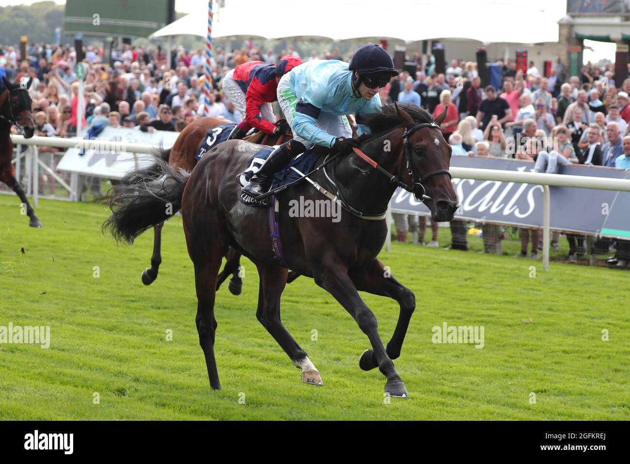 PATRONAGE ROYAL, MONTÉ JASON HART, 2021 Banque D'Images